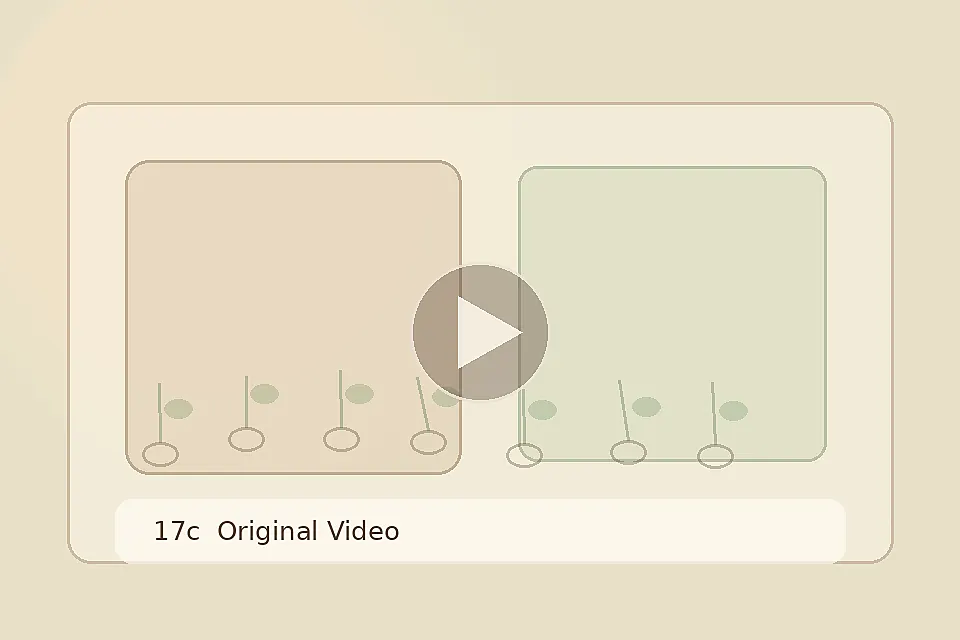 17c品牌17c春日茶饮视频教程原创视频封面